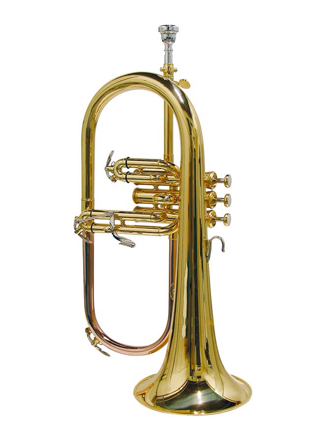 26544